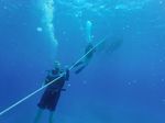 Hawaii Scuba divng 02