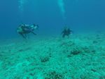 Hawaii Scuba divng 32