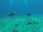 Hawaii Scuba divng 33