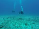 Hawaii Scuba divng 34