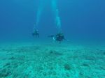 Hawaii Scuba divng 35