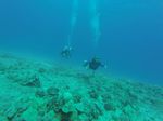 Hawaii Scuba divng 36