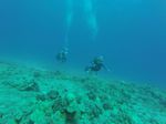 Hawaii Scuba divng 37