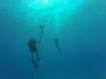 Hawaii Scuba divng 03