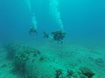 Hawaii Scuba divng 41