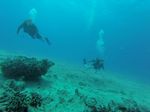 Hawaii Scuba divng 42