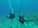 Hawaii Scuba divng 44