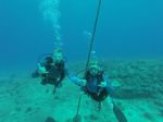 Hawaii Scuba divng 45