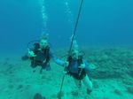 Hawaii Scuba divng 46