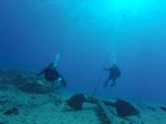 Hawaii Scuba divng 47