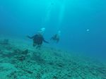 Hawaii Scuba divng 49