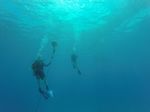 Hawaii Scuba divng 04