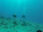 Hawaii Scuba divng 51