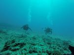 Hawaii Scuba divng 53