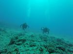 Hawaii Scuba divng 54