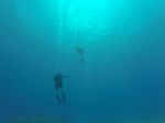 Hawaii Scuba divng 05