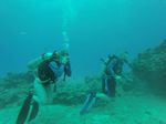 Hawaii Scuba divng 69