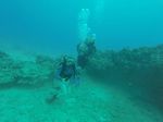 Hawaii Scuba divng 73