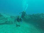 Hawaii Scuba divng 74