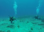 Hawaii Scuba divng 07