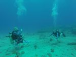 Hawaii Scuba divng 09