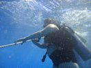 Hawaii Scuba divng 10