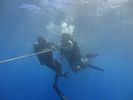 Hawaii Scuba divng 11