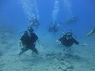 Hawaii Scuba divng 25