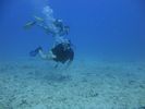 Hawaii Scuba divng 26