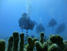 Hawaii Scuba divng 32