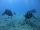 Hawaii Scuba divng 34