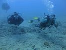 Hawaii Scuba divng 36