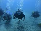 Hawaii Scuba divng 37