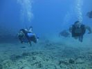 Hawaii Scuba divng 40