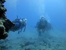 Hawaii Scuba divng 41