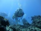 Hawaii Scuba divng 43