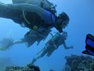 Hawaii Scuba divng 44