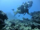 Hawaii Scuba divng 45