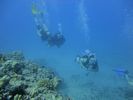 Hawaii Scuba divng 48