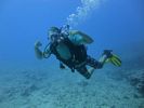 Hawaii Scuba divng 52