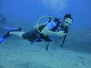 Hawaii Scuba divng 53