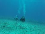 Hawaii Scuba divng 10