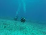 Hawaii Scuba divng 11