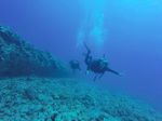 Hawaii Scuba divng 17