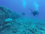 Hawaii Scuba divng 18