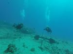 Hawaii Scuba divng 21