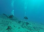 Hawaii Scuba divng 22