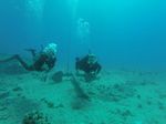 Hawaii Scuba divng 23