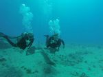 Hawaii Scuba divng 24