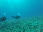 Hawaii Scuba divng 25